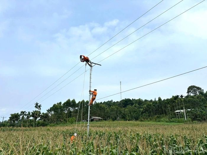 Công nhân Điện lực Lục Yên kiểm tra, xử lý khiếm khuyết đường dây 35kV và bảo dưỡng thiết bị trên đường dây 22kV.