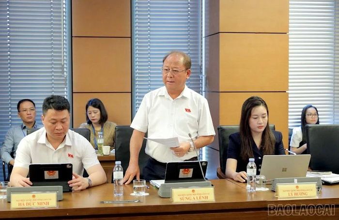 Đại biểu Sùng A Lềnh - Phó Trưởng Đoàn đại biểu Quốc hội tỉnh Lào Cai tham gia thảo luận tổ sáng 06/8.