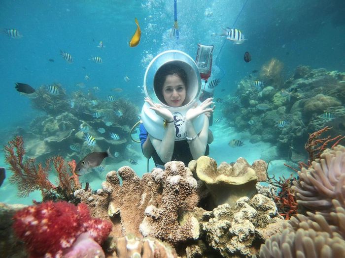 Lặn ngắm san hô là trải nghiệm nổi bật ở Nha Trang