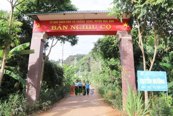 Tuyến đường Phụ nữ tự quản của Chi hội Phụ nữ bản Lon Kéo, xã Chiềng Mai.