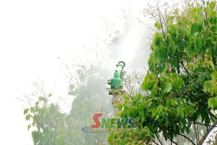 Hệ thống tưới phun được sử dụng tại nhiều diện tích trồng cây ăn quả.