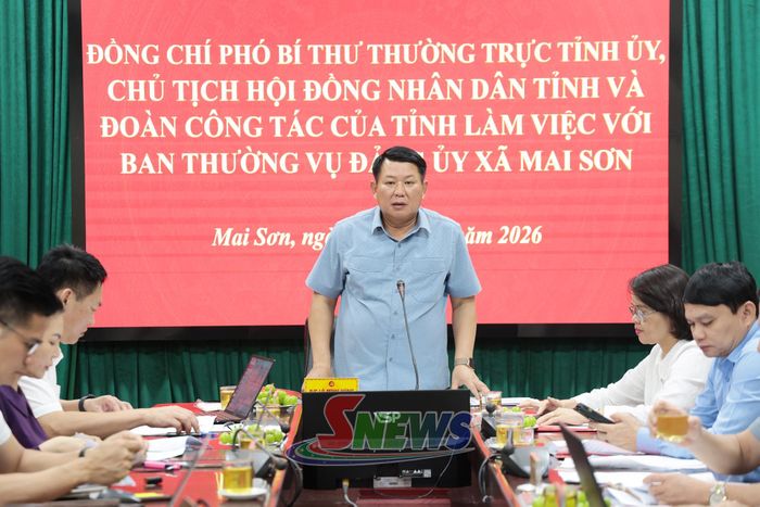 Đồng chí Phó Bí thư Thường trực Tỉnh ủy, Chủ tịch HĐND tỉnh, phát biểu tại cuộc làm việc.
