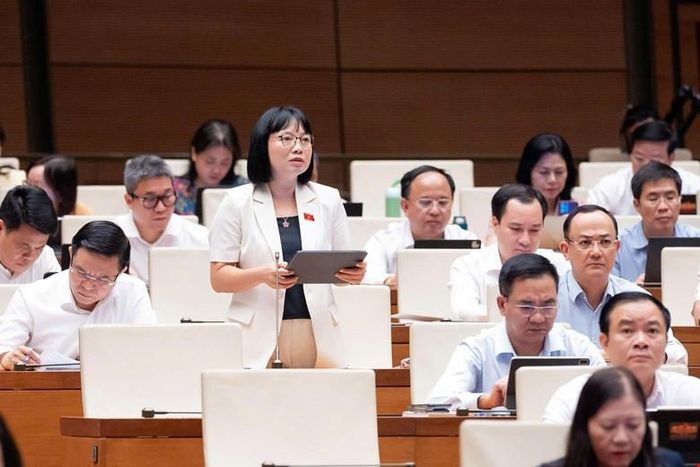 Đại biểu Quốc hội Nguyễn Thị Việt Nga (Đoàn Hải Phòng) phát biểu thảo luận. Ảnh: Quochoi.vn