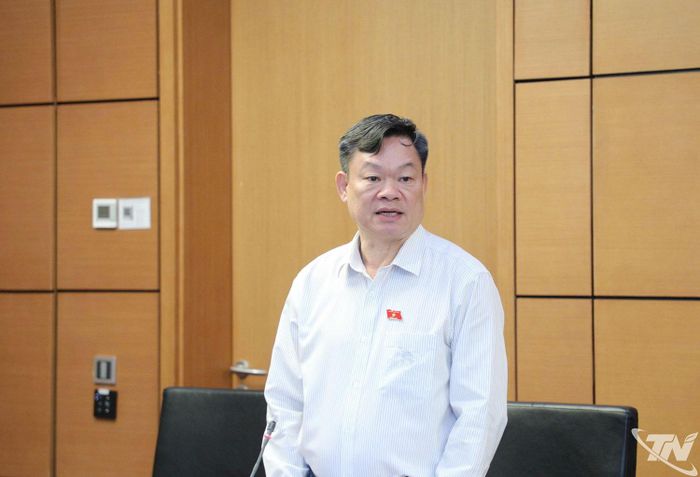 Đại biểu Hoàng Duy Chinh, Ủy viên Ban Chấp hành Trung ương Đảng, Ủy viên Ủy ban Thường vụ Quốc hội, Phó Chủ tịch Thường trực Hội đồng Dân tộc của Quốc hội phát biểu thảo luận tại tổ.