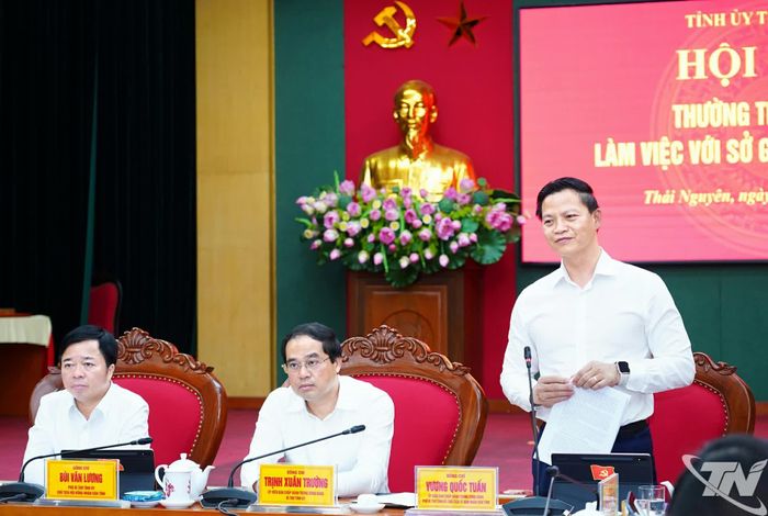 Đồng chí Chủ tịch UBND tỉnh Vương Quốc Tuấn phát biểu tại buổi làm việc.