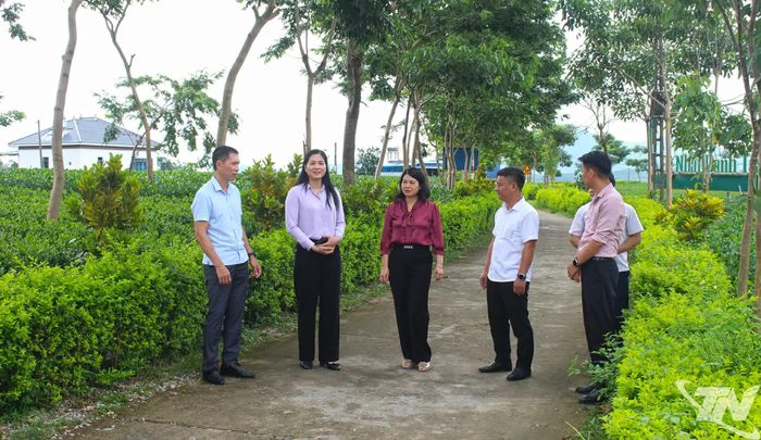 Khảo sát tại đồi chè Cầu Đá (xóm Hoàng Nông).