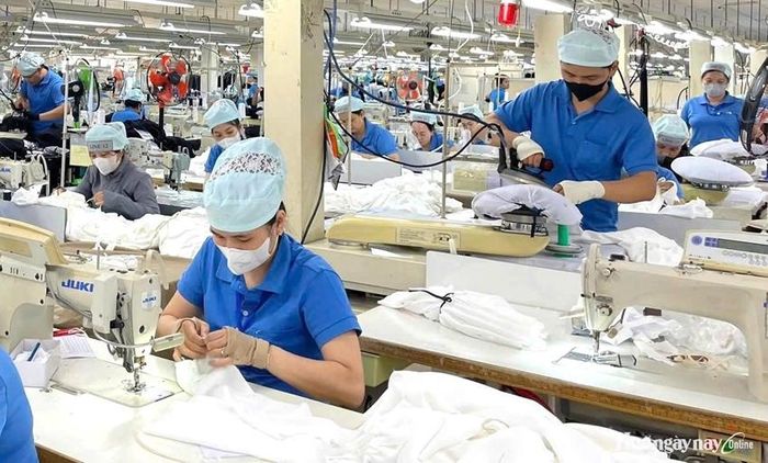 Hoạt động sản xuất tại Công ty TNHH MSV ở Khu công nghiệp Phú Bài.