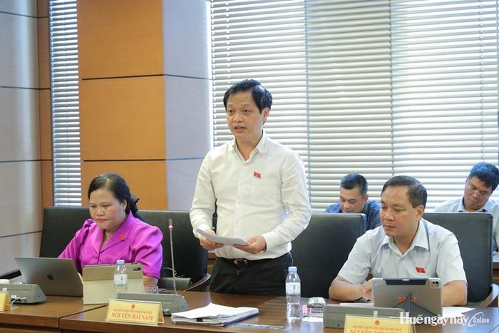 Đại biểu Nguyễn Hải Nam tham gia thảo luận. Ảnh: Đoàn ĐBQH thành phố cung cấp