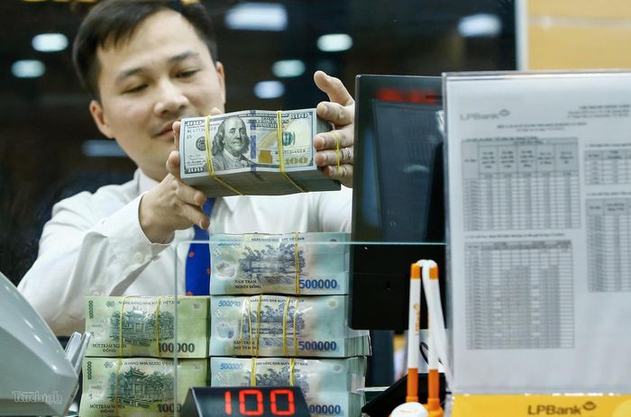 Theo các chuyên gia, ngân hàng cần tiên phong áp dụng chuẩn mực ESG để kết nối nhà đầu tư quốc tế với doanh nghiệp Việt Nam. Ảnh: Đức Thanh