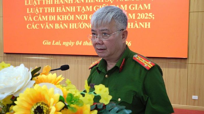 Đại tá Lê Hồng Thái, Phó Giám đốc Công an tỉnh Gia Lai phát biểu chỉ đạo tại hội nghị tập huấn.