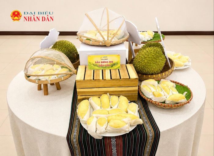 Sản phẩm sầu riêng Đắk Lắk được trưng bày, giới thiệu tại họp báo Lễ hội Sầu riêng Đắk Lắk năm 2026