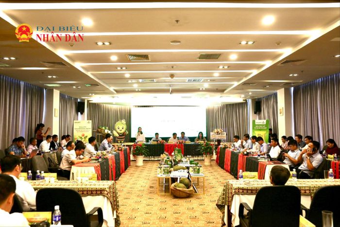 Quang cảnh buổi họp báo