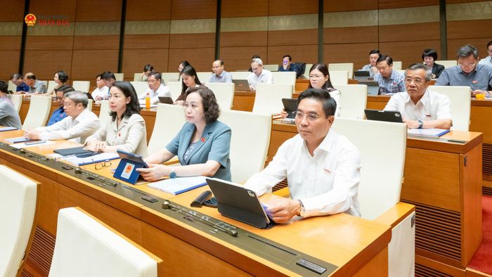 Phó Chủ tịch Quốc hội, Thượng tướng Nguyễn Doãn Anh và đại biểu dự phiên họp. Ảnh: Phạm Thắng