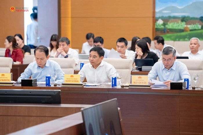 Các đại biểu dự phiên họp