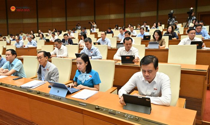 Các đại biểu dự phiên họp. Ảnh: Quang Khánh