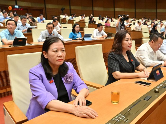 Các đại biểu dự phiên họp. Ảnh: Quang Khánh