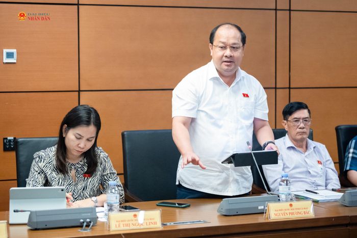 ĐBQH Nguyễn Phương Bắc (Cà Mau) phát biểu