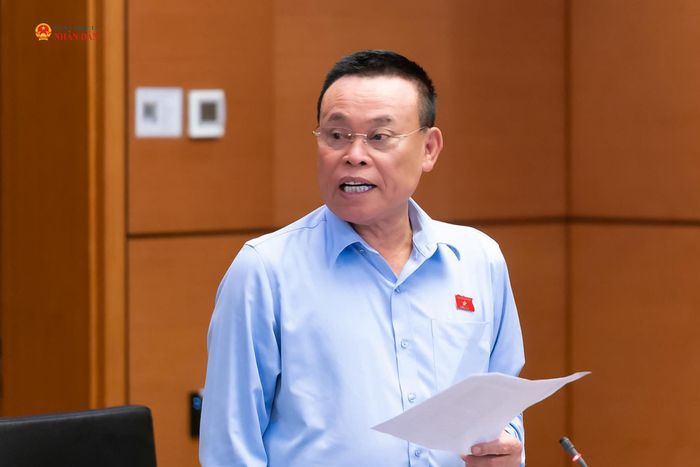 ĐBQH Nguyễn Như So (Bắc Ninh) phát biểu