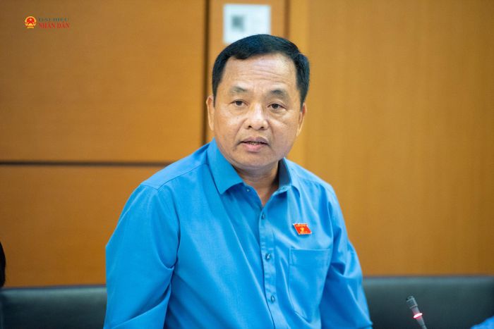 ĐBQH Nguyễn Ngọc Hà (Quảng Trị) phát biểu