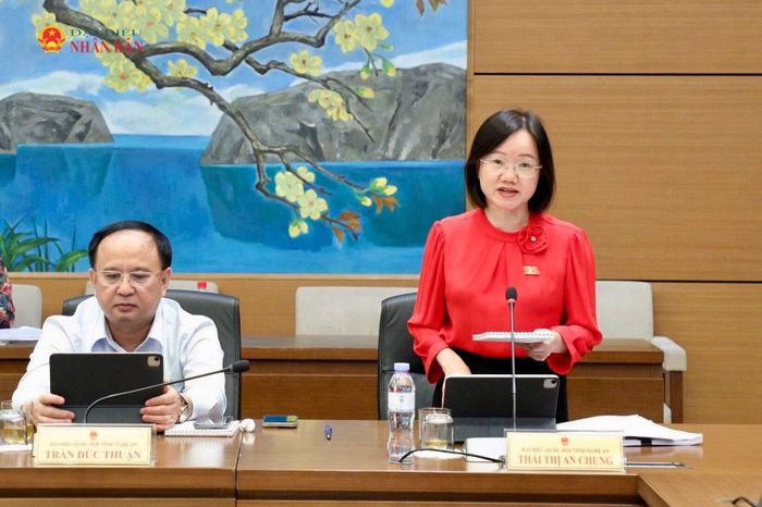 ĐBQH Thái Thị An Chung (Nghệ An) phát biểu