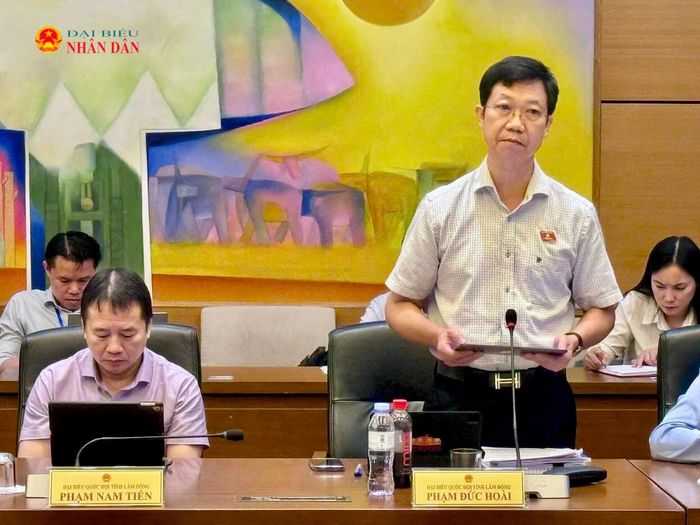 ĐBQH Phạm Đức Hoài (Lâm Đồng) phát biểu