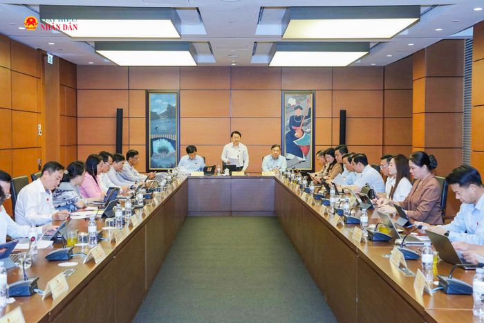 Toàn cảnh phiên thảo luận Tổ 9