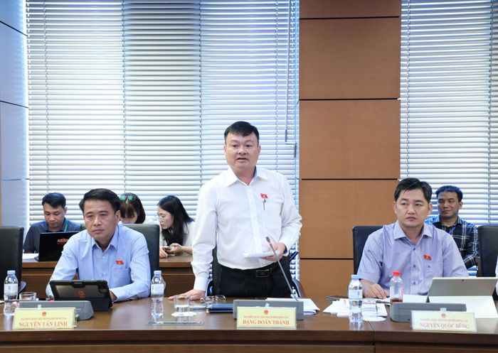 Đại biểu Đặng Doãn Thành (Đồng Nai) phát biểu
