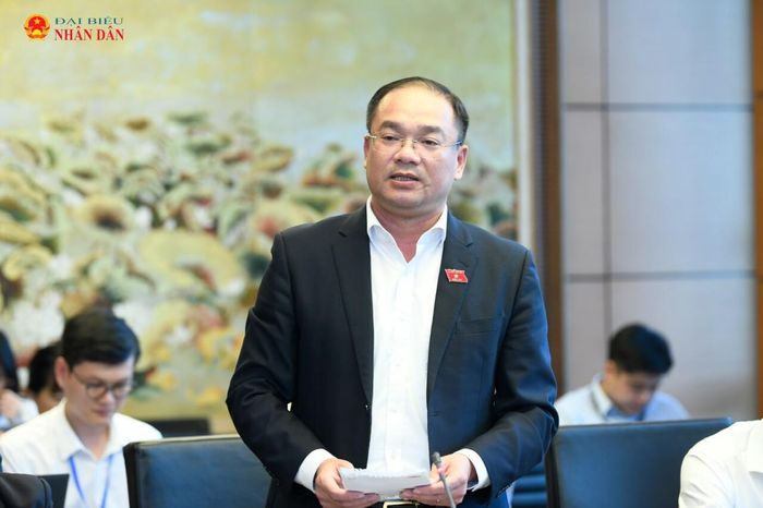 ĐBQH Nguyễn Ngọc Việt (Hà Nội) phát biểu thảo luận tại Tổ 1