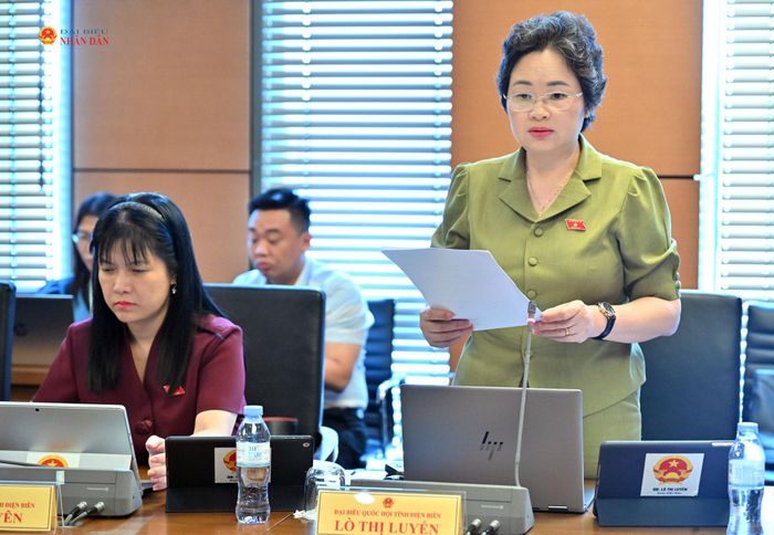 ĐBQH Lò Thị Luyến (Điện Biên) phát biểu. Ảnh: Quang Khánh
