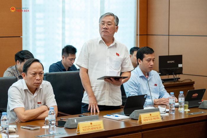 ĐBQH Trịnh Ngọc Phương (Tây Ninh) phát biểu thảo luận Tổ 3. Ảnh: Lâm Hiển