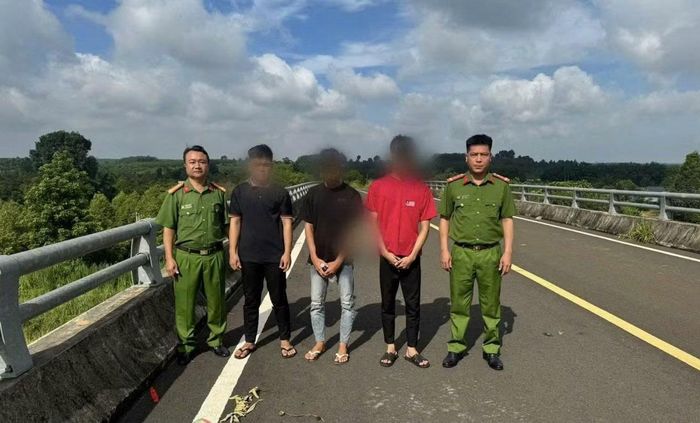Vị trí nhóm thanh thiếu niên ném vật cứng xuống cao tốc.