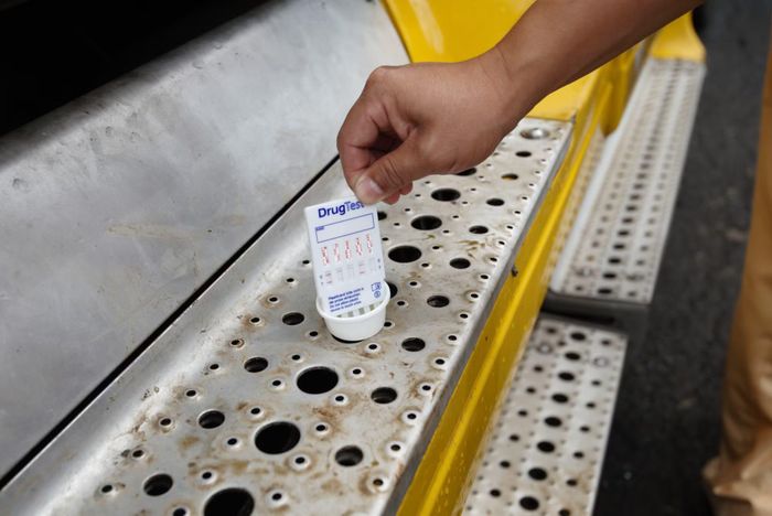 Và chỉ mất từ 10 đến 15 phút, việc test kiểm tra đã cho kết quả.