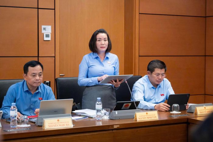 Đại biểu Nguyễn Minh Tâm đề xuất định vị mô hình phát triển phù hợp với lợi thế của từng địa phương.