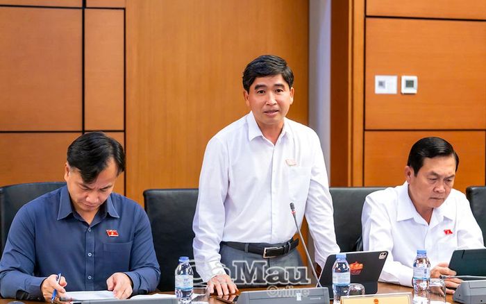 Đại biểu Lương Văn Anh phát biểu tại phiên thảo luận.