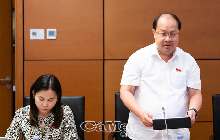 Đại biểu Nguyễn Phương Bắc phát biểu tại phiên thảo luận.
