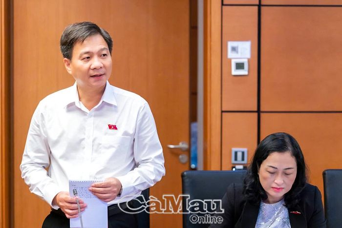 Đại biểu Nguyễn Bình Tân, phát biểu tại phiên thảo luận.