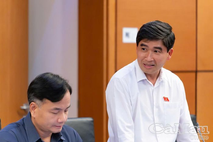 Đại biểu Lương Văn Anh phát biểu tại phiên thảo luận.