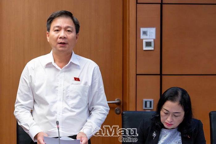 Đại biểu Nguyễn Bình Tân phát biểu thảo luận.