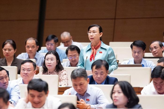 Đại biểu Phan Thị Mỹ Dung phát biểu thảo luận. Ảnh: VPQH