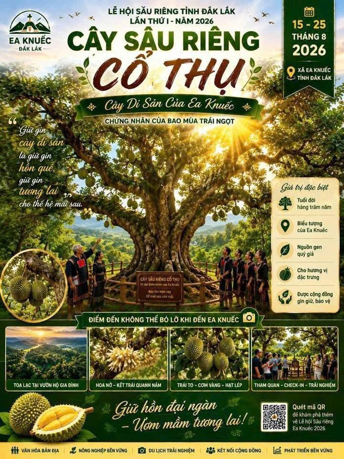  Cây sầu riêng cổ thụ tại xã Ea Knuếc – cây di sản gắn với lịch sử hình thành vùng trồng sầu riêng, trở thành điểm tham quan, check-in tiêu biểu của Lễ hội Sầu riêng Đắk Lắk năm 2026. (Ảnh Trần Thanh) 