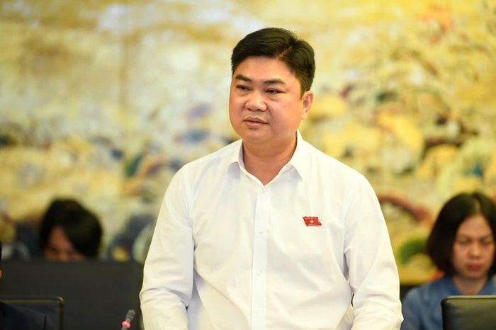 Đại biểu Quốc hội Dương Đức Hải phát biểu tại thảo luận tổ. Ảnh: Như Ý