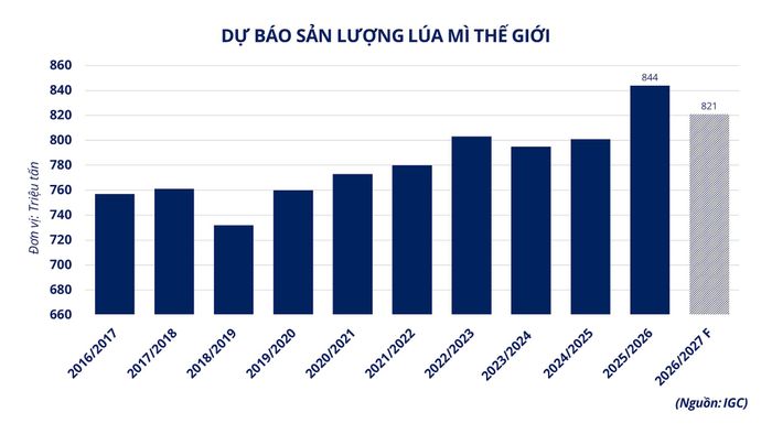 Dự báo sản lượng lúa mì thế giới. Nguồn: MXV