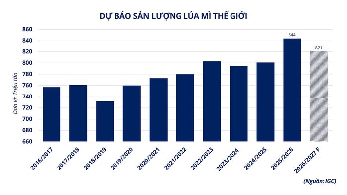 Dự báo sản lượng lúa mì thế giới. Nguồn: MXV