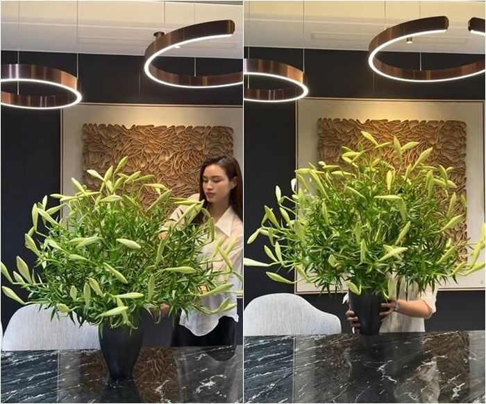 Trong khi đó, một số ý kiến cho rằng tên bách hợp thường được dùng để chỉ các giống lily nói chung, đặc biệt là những giống hoa nhập khẩu với màu sắc đa dạng được bán quanh năm.