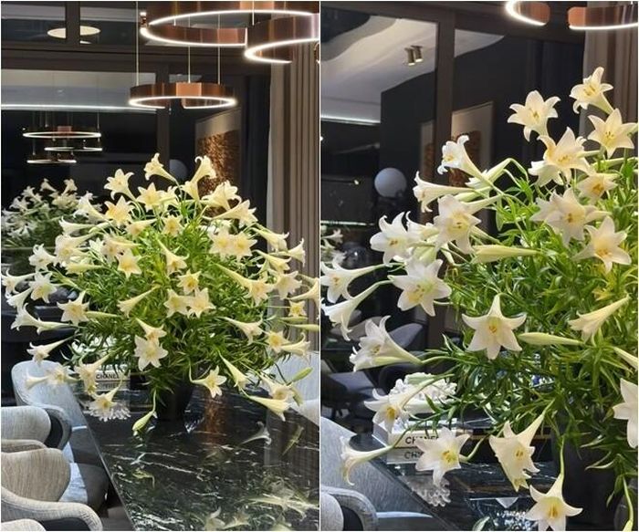 Ngoài ra, để hoa tươi lâu, có thể lưu ý: Cắt vát gốc cành trước khi cắm. Loại bỏ phần lá ngập trong nước. Thay nước sạch mỗi ngày hoặc cách ngày. Đặt bình ở nơi thoáng mát, tránh ánh nắng trực tiếp và luồng gió mạnh. Khi hoa nở, có thể nhẹ nhàng cắt bỏ phần nhị chứa phấn để hạn chế phấn rơi và giúp hoa giữ được vẻ đẹp lâu hơn.