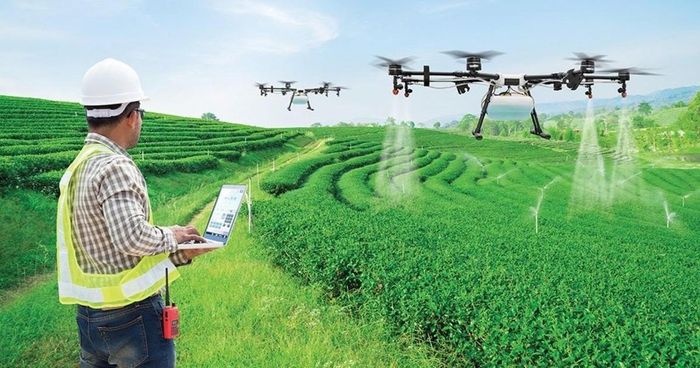 Ứng dụng trí tuệ nhân tạo (AI) vào nông nghiệp. Ảnh: MST.