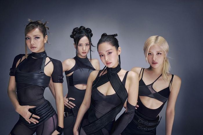  Hoạt động kỷ niệm 10 năm ra mắt của BlackPink đang khiến người hâm mộ thất vọng. Ảnh: YG Entertainment. 