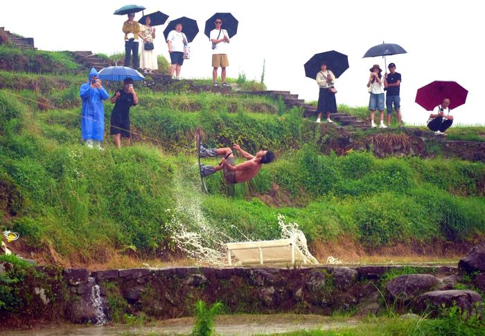  Cú nhào lộn trên những thửa ruộng bậc thang tại Khu thắng cảnh ruộng bậc thang Vân Hòa, huyện Vân Hòa, thành phố Lệ Thủy, tỉnh Chiết Giang, Trung Quốc. 