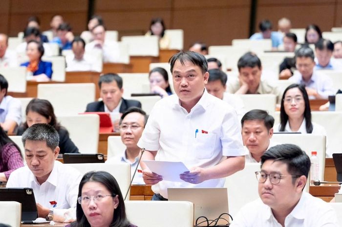 Đại biểu Nguyễn Thanh Xuân phát biểu