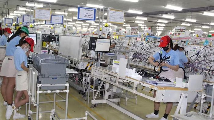 Dây chuyền sản xuất bo mạch điện tử của Công ty Furukawa, Khu công nghiệp Bình Minh, tỉnh Vĩnh Long.
